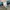 Visvim Streetwear Casual Casual pants Pria green photo 5