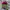 United Colors Of Benetton Vintage Luxury Sweater Pria Multicolor