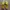 Nike Sportswear Sneakers Pria yellow photo 5