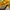 Nike Sportswear Sneakers Pria yellow photo 4