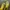 Nike Sportswear Sneakers Pria yellow photo 7