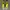 Nike Sportswear Sneakers Pria Yellow