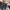 Rayban Wayfarer Classic Bausch & Lomb USA Series  photo 7