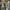 (Available🛒) 2000's Olive Green "Chocol Raffine" Barrel Pan photo 4