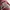 Number Nine Streetwear Bomber jacket Pria white red photo 6