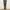 COMME Des GARÇONS Casual Formal Pants Pria Brown