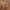 leather jacket biker slim kerah shanghai full bordir photo 5