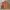 leather jacket biker slim kerah shanghai full bordir photo 1