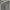 GHOSTLINE ZIP FLARE DENIM 