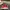 Puma suede photo 2