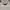 ZipperHoodie Hollister California photo 3