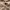 Santa Cruz Skateboards Streetwear Skater Hoody Pria cream photo 4