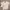 Arc'teryx Streetwear Casual T-shirt Pria white black photo 1