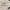 Arc'teryx Streetwear Casual T-shirt Pria white black photo 4