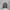 Calvin Klein Luxury Sweatshirt Pria gray photo 1