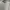 Jeep Luxury Sweatshirt Pria white cream photo 2
