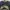 WHO.A.U Streetwear Sweatshirt Pria Navy