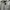 Polo Ralph Lauren Ruqby Long Sleeve Polo Shirt