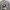 MLB Luxury Sweatshirt Pria gray photo 3