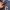 Covernat Luxury Sweatshirt Pria navy photo 2