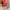 Andersson Bell Luxury Sweatshirt Wanita pink photo 3