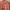 Andersson Bell Luxury Sweatshirt Wanita pink photo 4