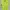 Adidas Club Polo Tennis Lime Green JP0404