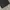 Trench Coat Belier photo 2