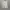 Guess Luxury Sweatshirt Pria white photo 4