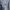 Dickies Streetwear Sportswear Parka Pria gray photo 3