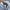 Dickies Streetwear Sportswear Parka Pria gray photo 5