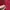 grace ch rings.          photo 4