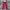 Dickies Streetwear Muslim Formal pants Pria burgundy photo 4