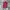 Dickies Streetwear Muslim Formal Pants Pria Burgundy