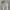 Guess Luxury Sweatshirt Wanita white photo 3