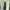 LONG DRESS HITAM MEWAH MURAH