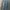 Skinny Zara Denim Jeans