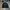 Polo Ralph Lauren Vintage Casual Sweater Pria black photo 1
