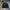 Polo Ralph Lauren Vintage Casual Sweater Pria Black