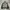 Streetwear Bomber jacket Pria black gray photo 4