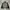 Streetwear Bomber jacket Pria black gray photo 1