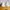 VANS Streetwear Casual Sneakers Wanita white photo 7