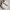 VANS Streetwear Casual Sneakers Wanita white photo 5