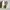 VANS Streetwear Casual Sneakers Wanita white photo 4
