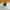 VANS Streetwear Skater Windbreaker Pria white photo 4