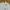 VANS Streetwear Skater Windbreaker Pria white photo 3