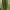 COLORBOX Rok Cargo - Green