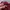 Unfledged Streetwear Casual T-shirt Pria burgundy photo 4