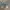 Rok Nikisix Denim  photo 2