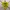 Streetwear Casual T-shirt Pria yellow photo 1